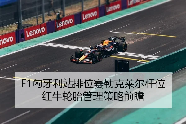 xiong-ya-li-zhan-pai-wei-sai-lei-ke-lai-er-gan-wei-hong-niu-lun-tai-guan-li-ce-lve-qian-zhan-3-695.jpg